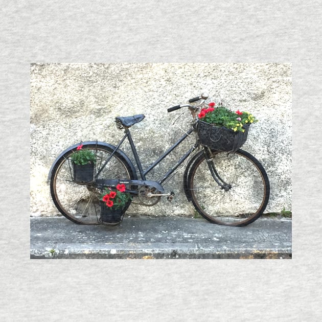 Bicycle and Flowers In France by golan22may